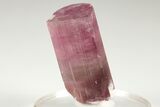 Beautiful, Bi-colored Himalaya Tourmaline (ct) - California #206126-2